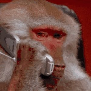 Meet your Posher, Gosha